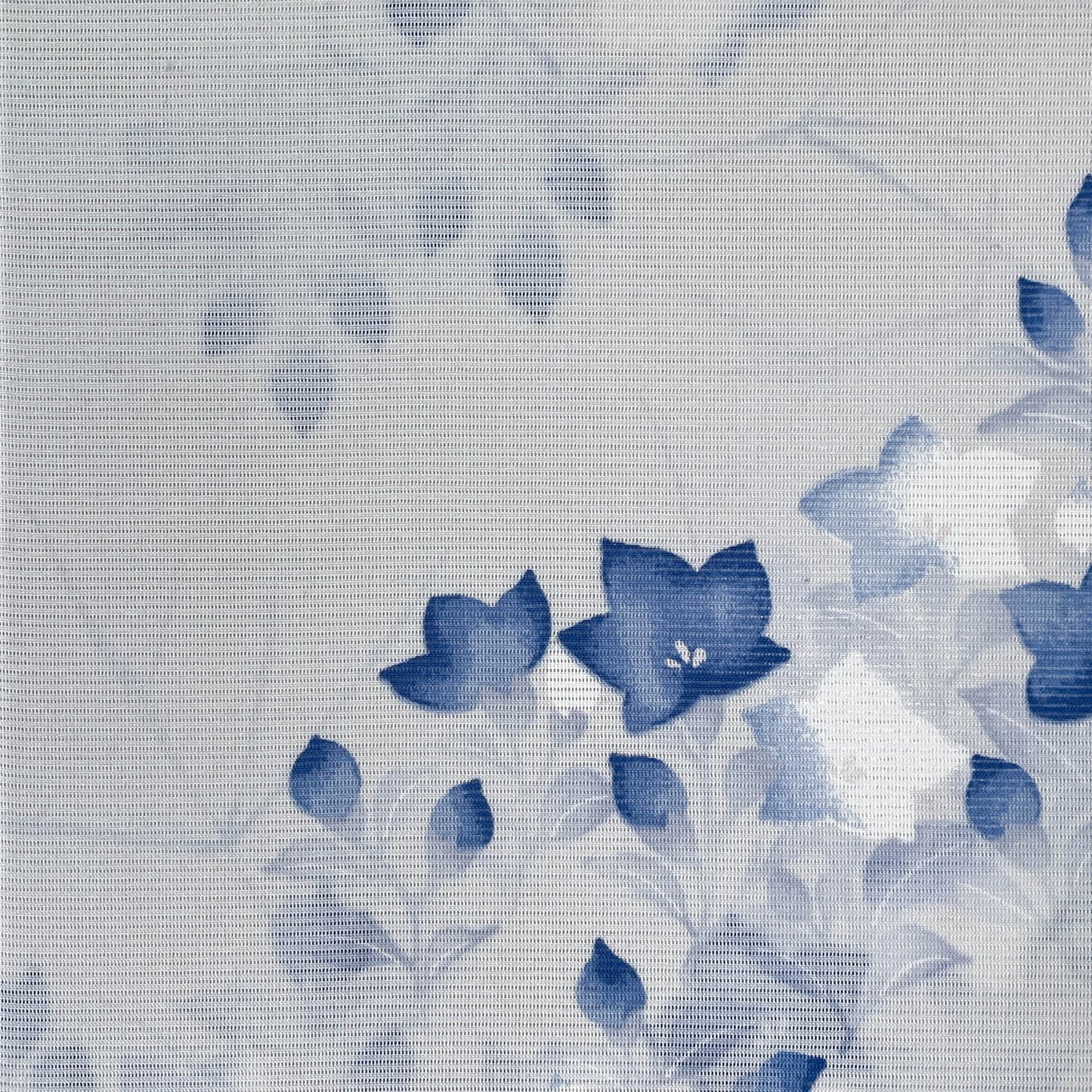 Bellflower Shadows ~Eternal Devotion~