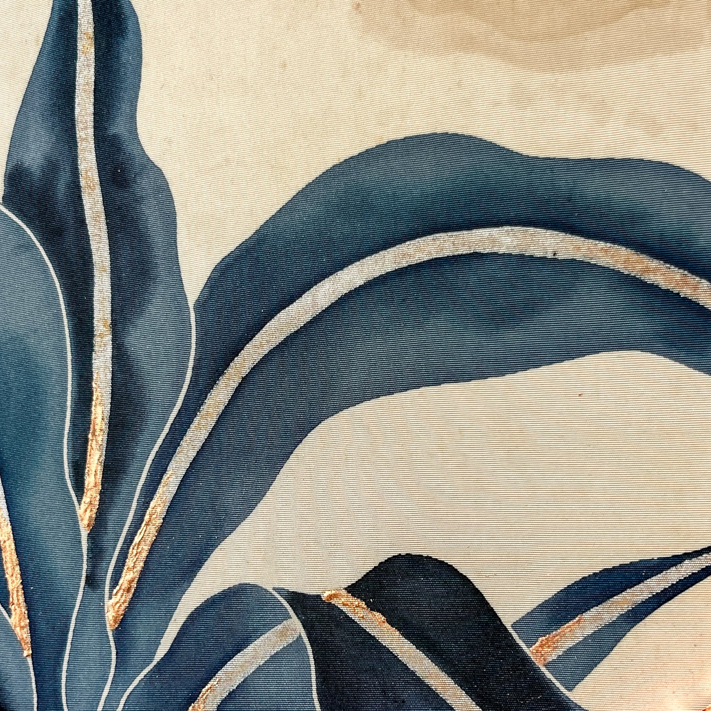 Omoto  ~Ten thousand years of Green~