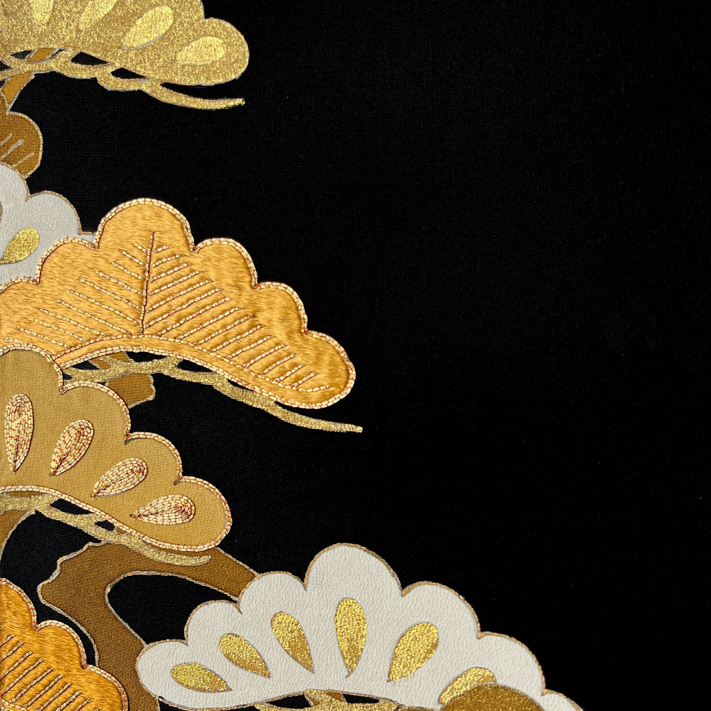 Pines Through Seasons