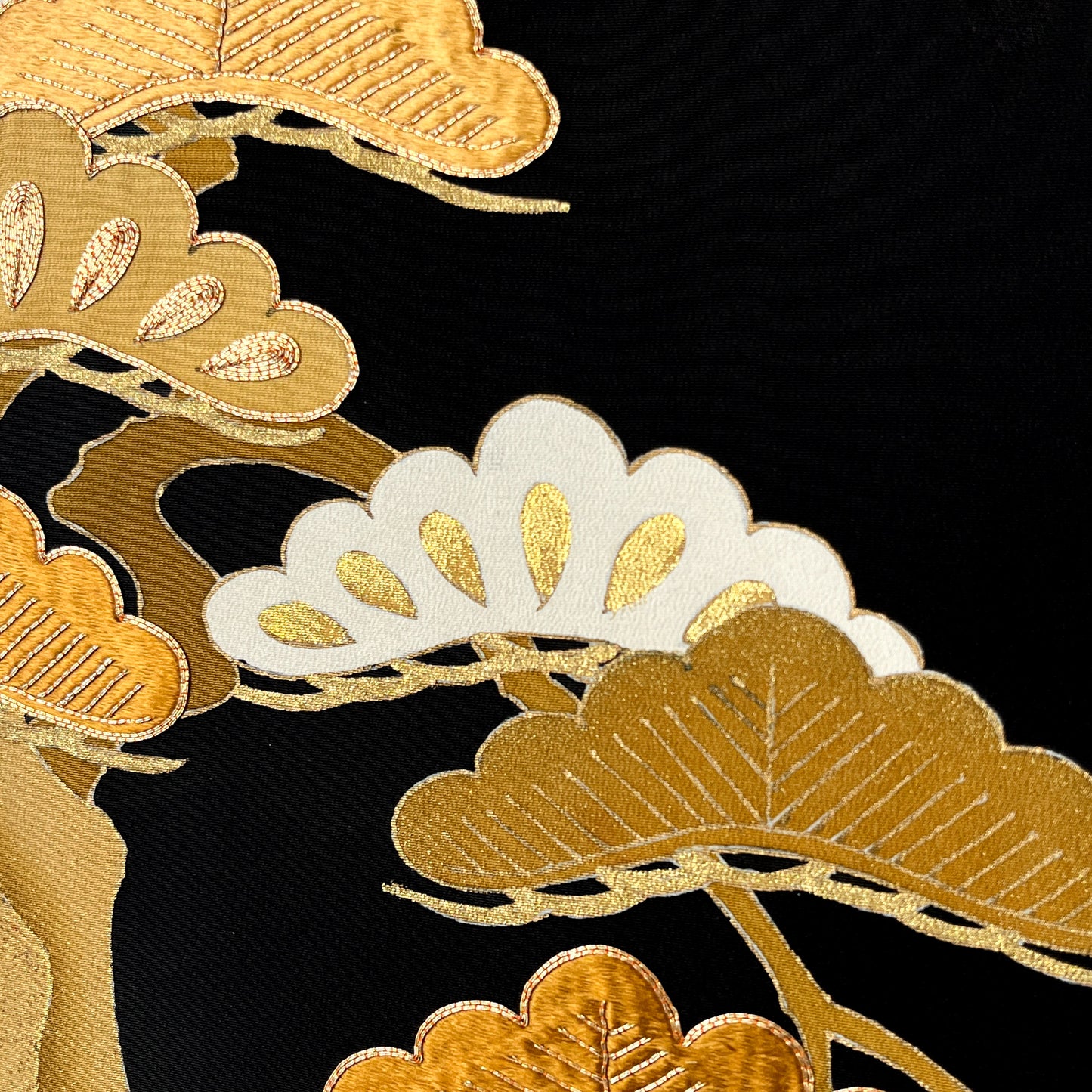 Pines Through Seasons