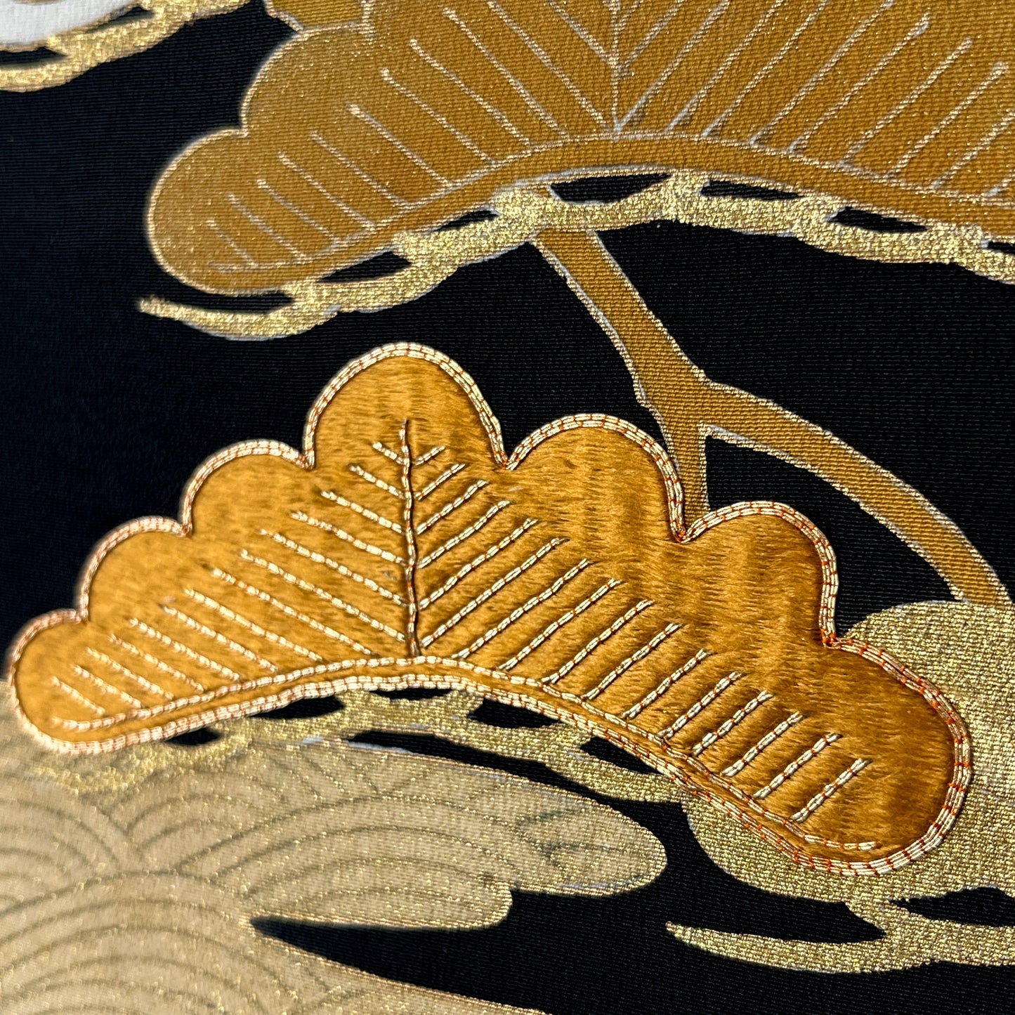 Pines Through Seasons