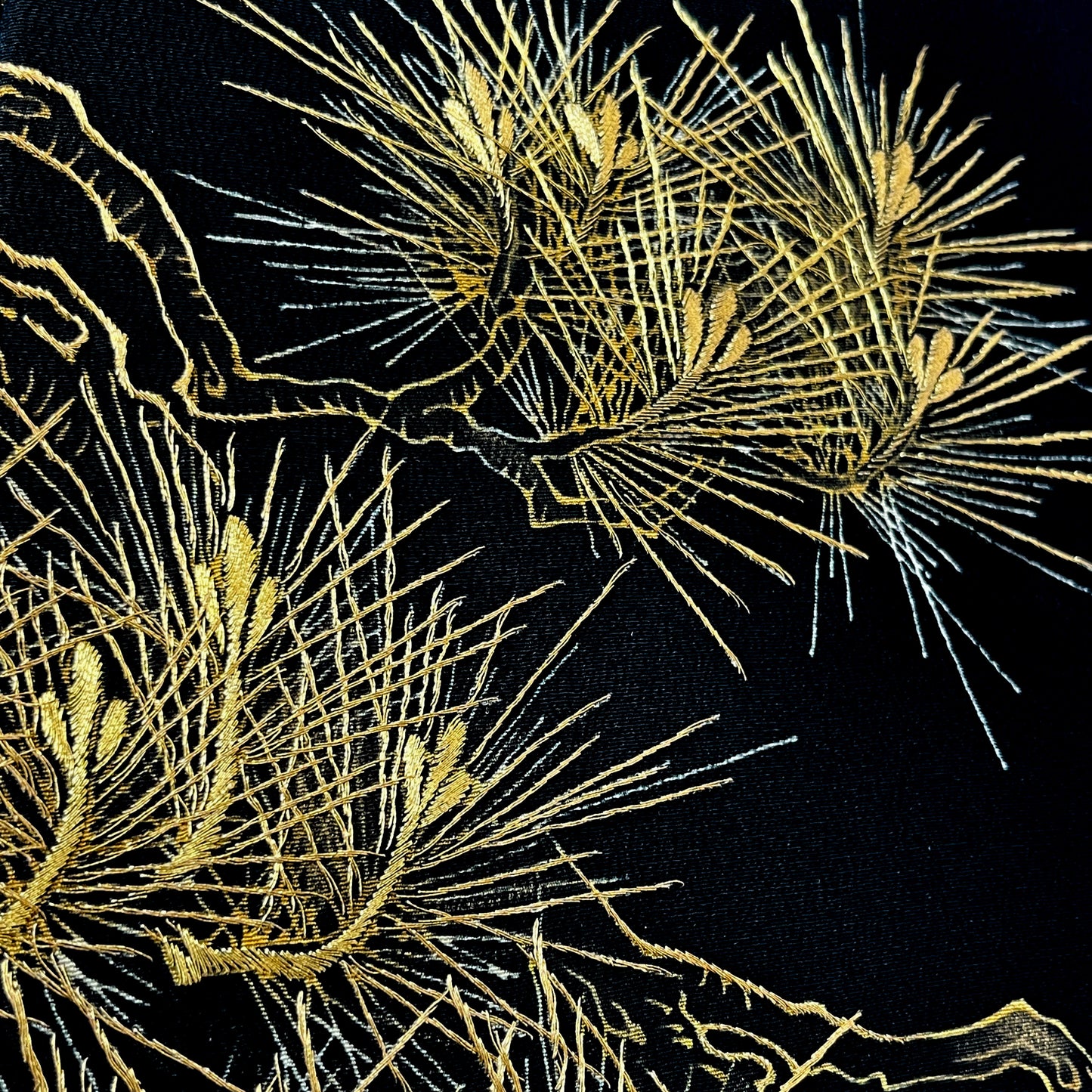 Pines Through Seasons