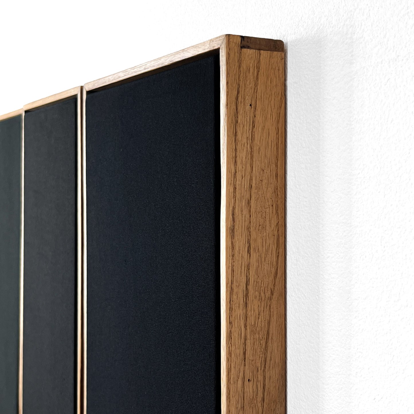 Pines Through Seasons