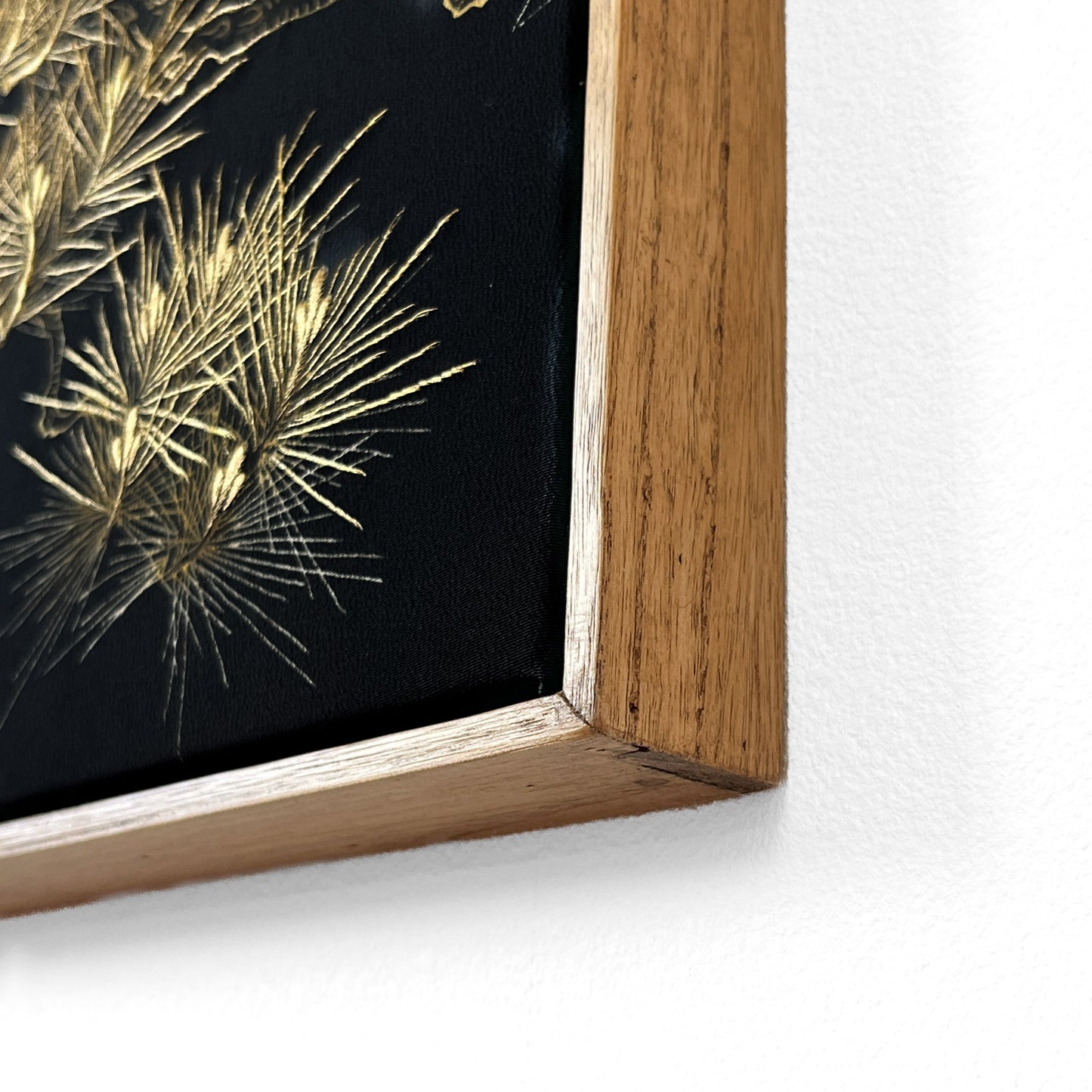 Pines Through Seasons