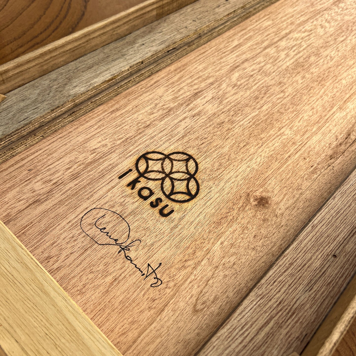 Pines Through Seasons