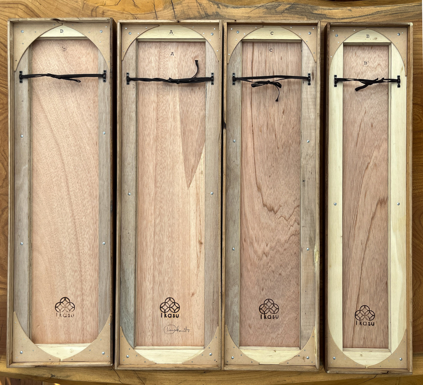 Pines Through Seasons