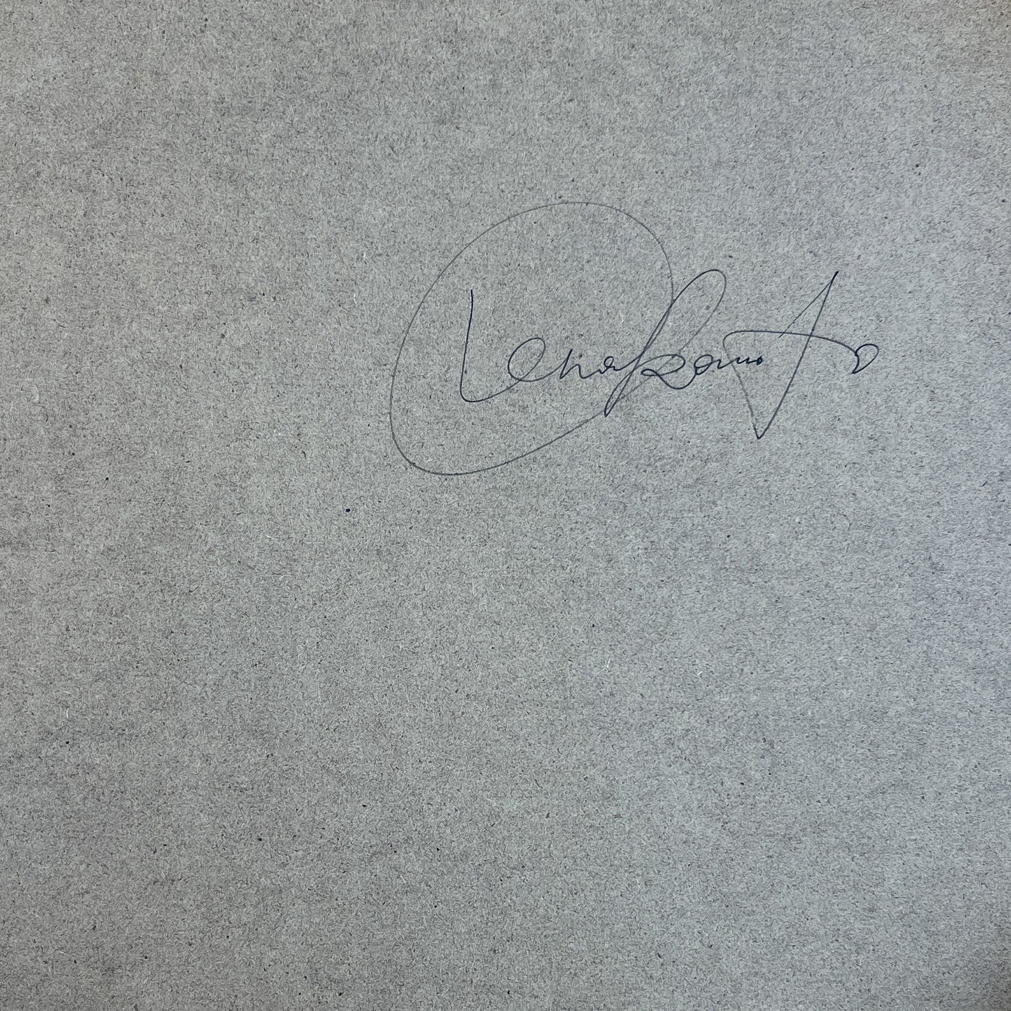 Cloud of Pines ~Timeless~