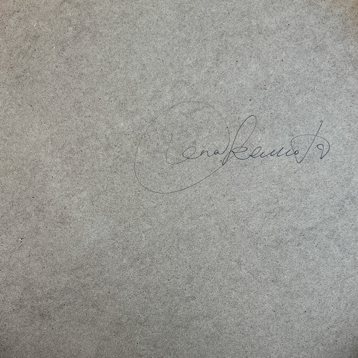 Plum Blossom ~Resilience~